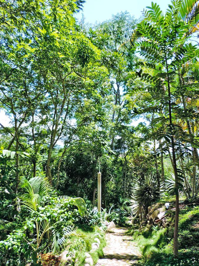 Villa Yacumaman Sanctuary Tarapoto Esterno foto