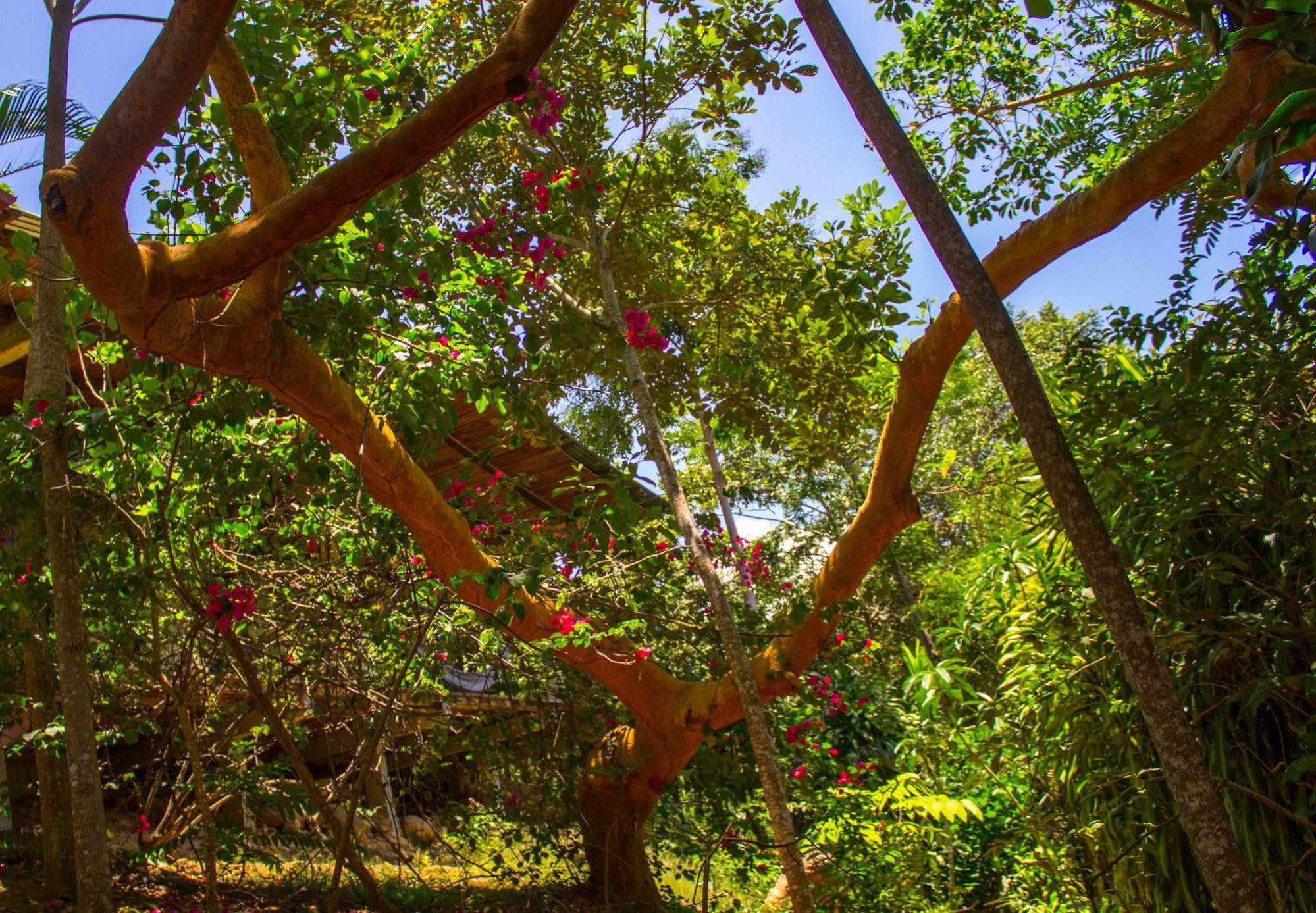 Villa Yacumaman Sanctuary Tarapoto Esterno foto